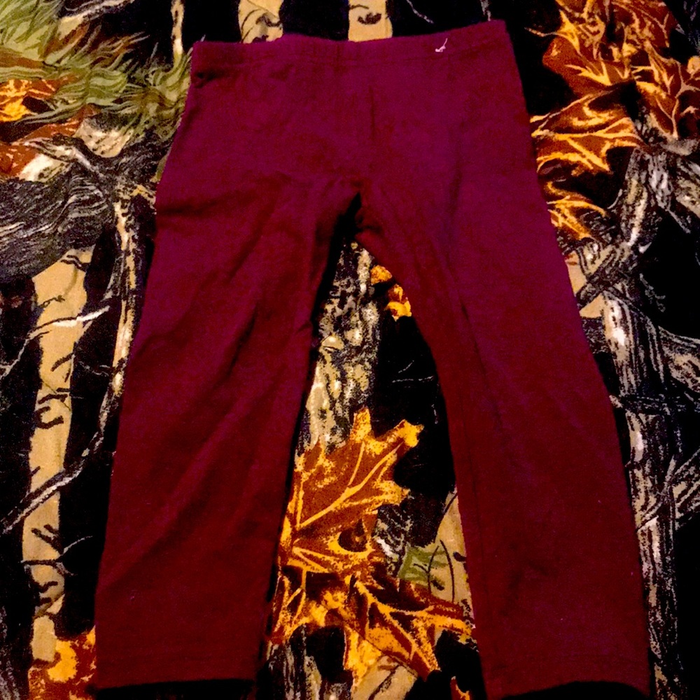 Garanimals size 2t